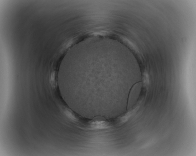 X0000116120428200911231219