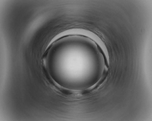 X0000116120429200911231219