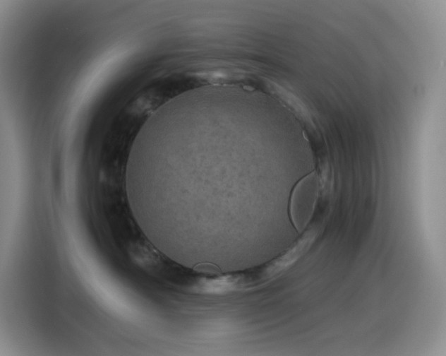 X0000116120430200911231219