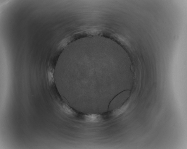 X0000116120432200911231219