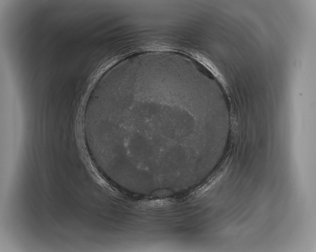 X0000116120433200911231218