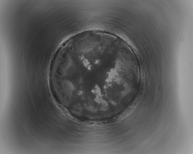 X0000116120434200911231218