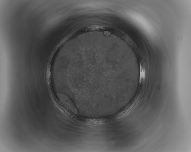 X0000116120435200911231218