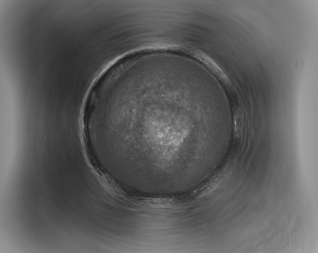 X0000116120436200911231218