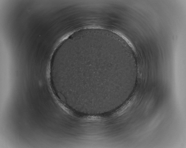 X0000116120437200911231218