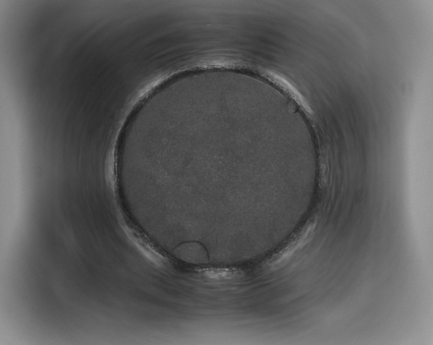 X0000116120439200911231218