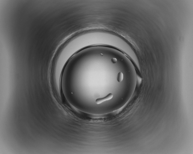 X0000116120440200911231218