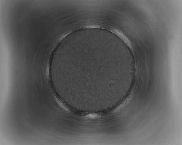 X0000116120441200911231218