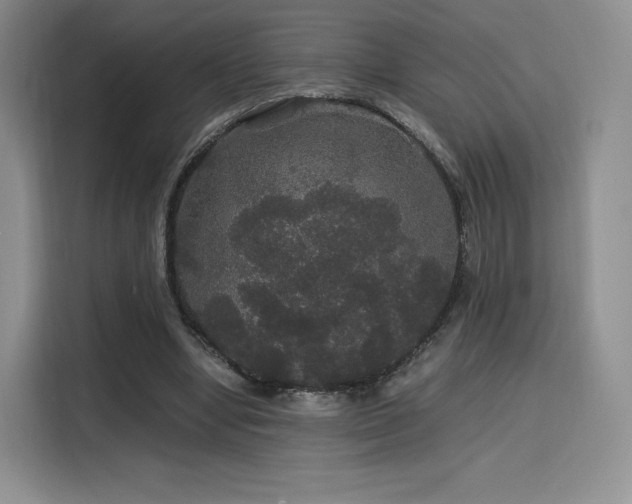 X0000116120442200911231218