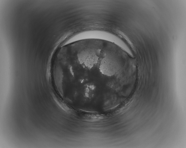 X0000116120443200911231218