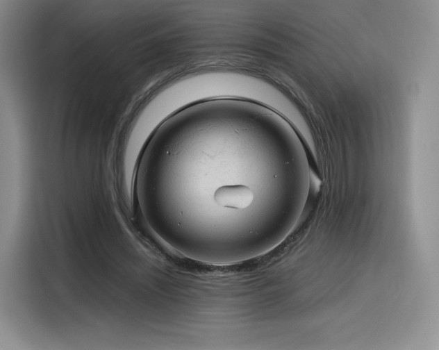 X0000116120444200911231218