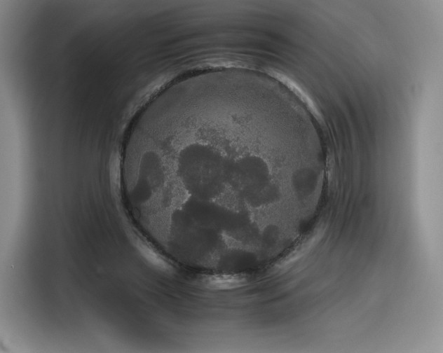 X0000116120445200911231218