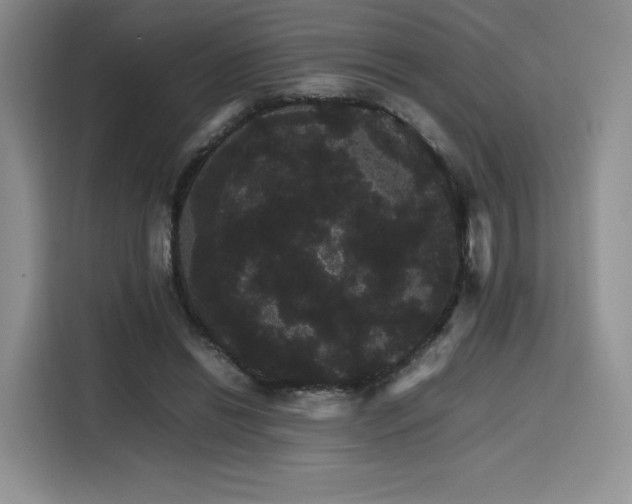 X0000116120446200911231218