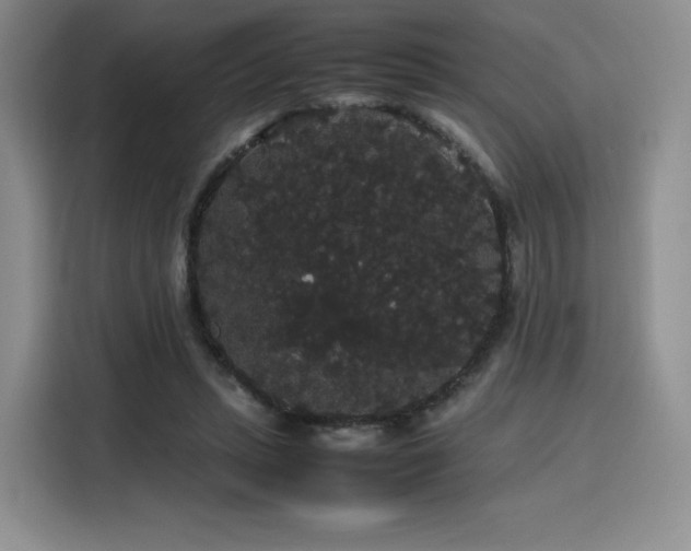 X0000116120447200911231218