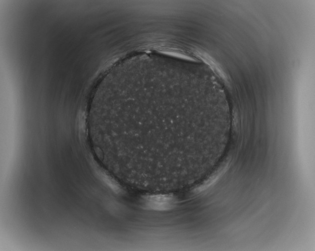 X0000116120449200911231218