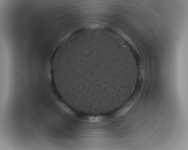 X0000116120450200911231218