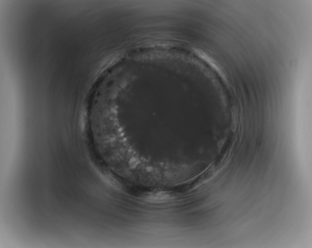 X0000116120451200911231218