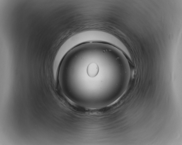 X0000116120452200911231218