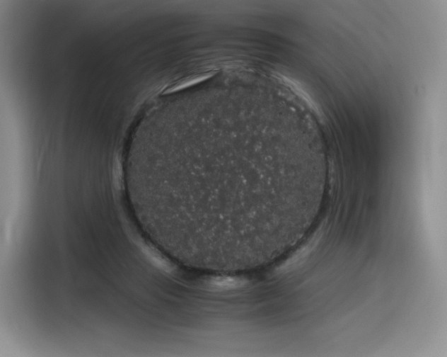 X0000116120453200911231218