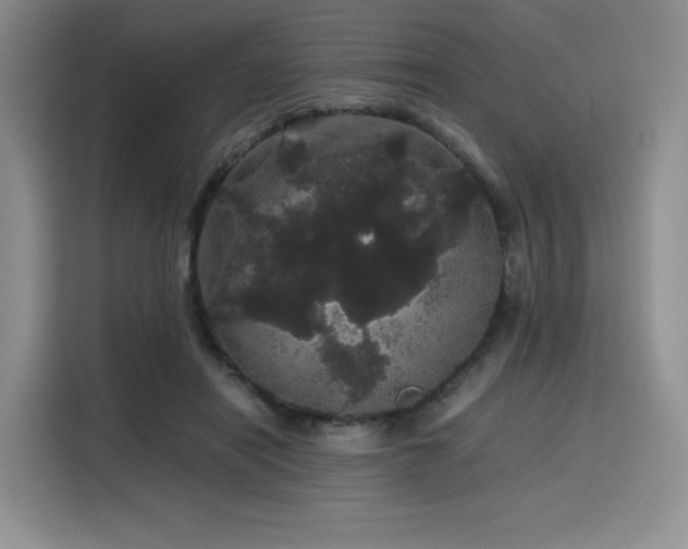 X0000116120454200911231218