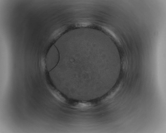 X0000116120455200911231218