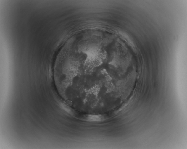 X0000116120457200911231218