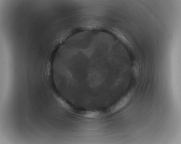 X0000116120458200911231218