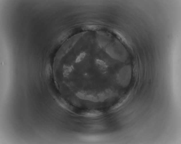 X0000116120459200911231218