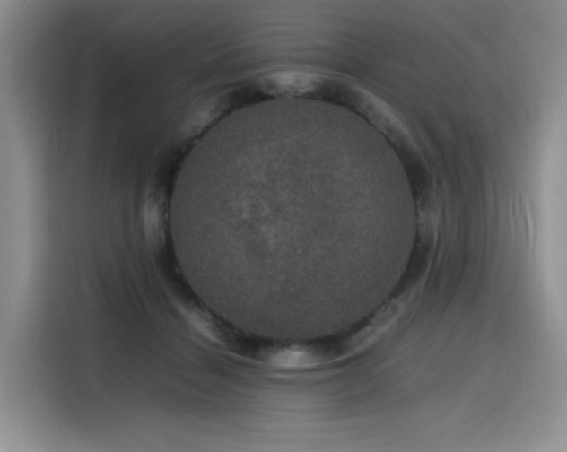 X0000116120460200911231218