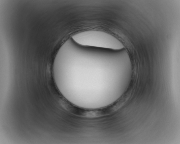 X0000116120461200911231218