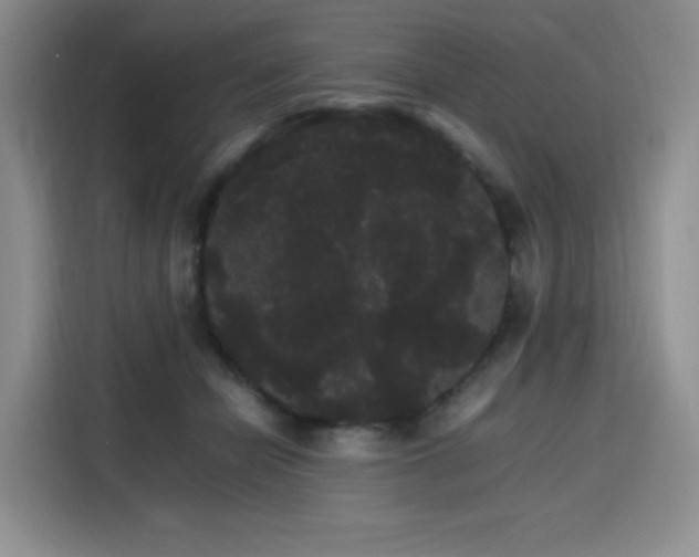 X0000116120462200911231218