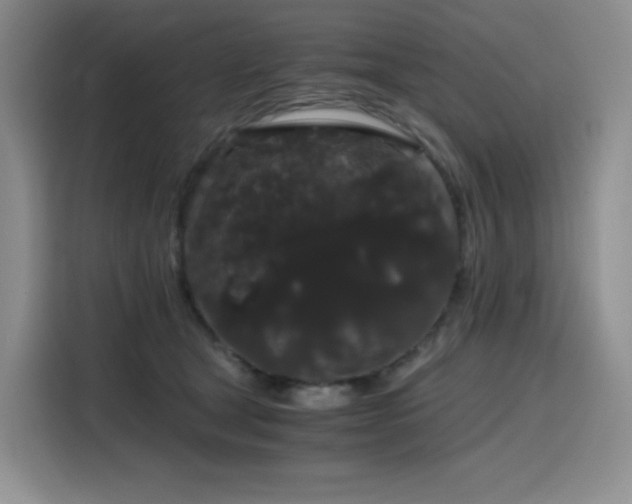 X0000116120465200911231218