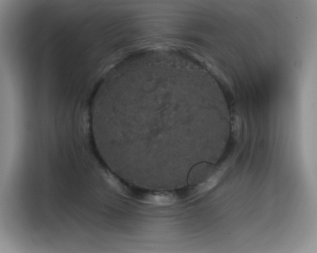 X0000116120466200911231219