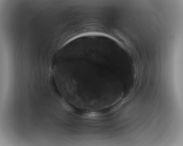 X0000116120467200911231219