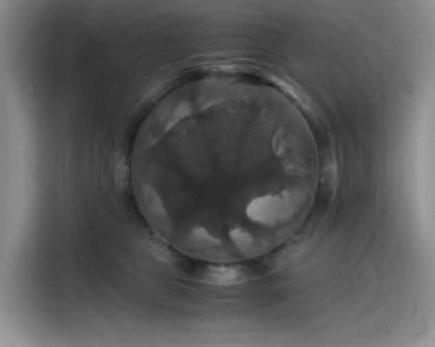 X0000116120469200911231219