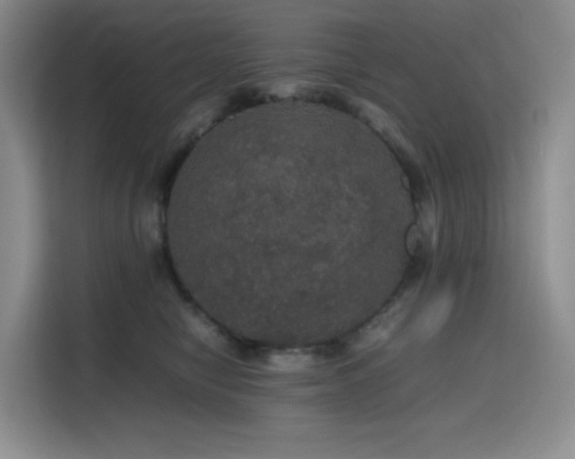 X0000116120470200911231219