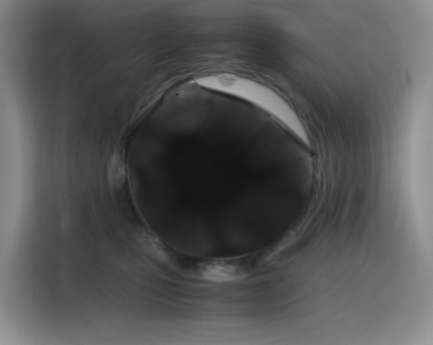 X0000116120471200911231219