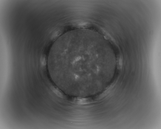 X0000116120472200911231219