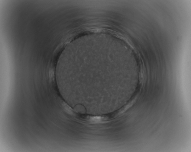 X0000116120473200911231219