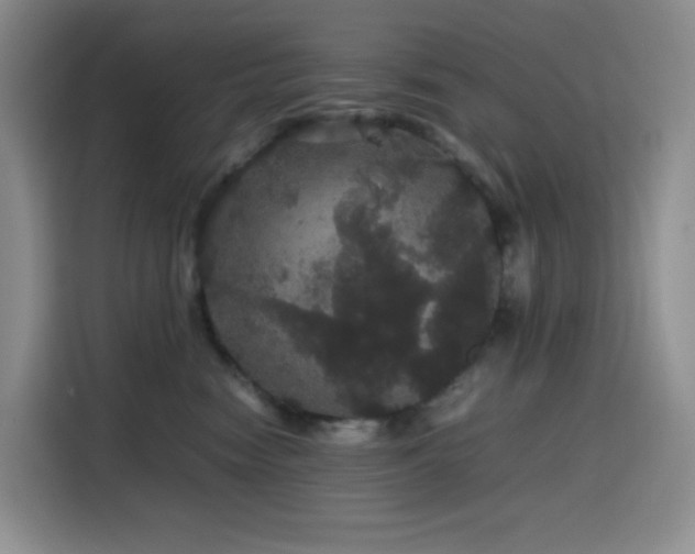 X0000116120474200911231219