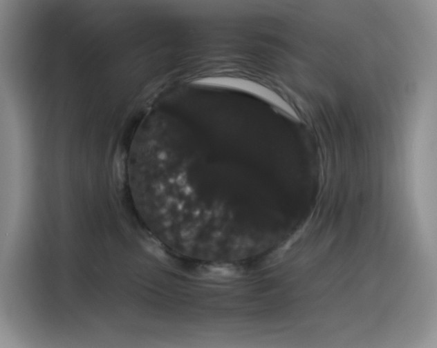 X0000116120475200911231219