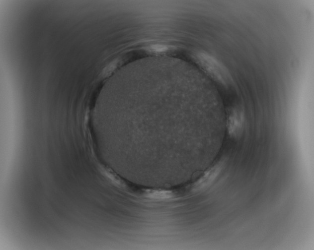 X0000116120476200911231219