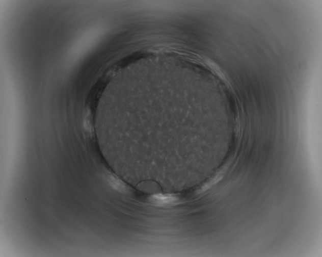 X0000116120477200911231219