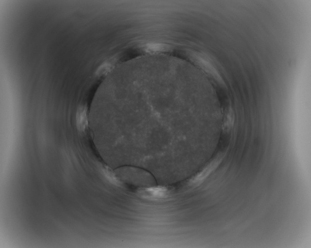 X0000116120478200911231219