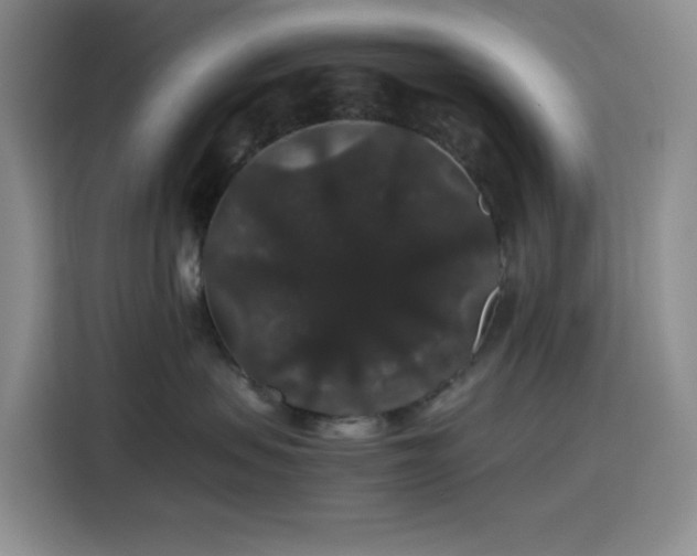 X0000116120479200911231219