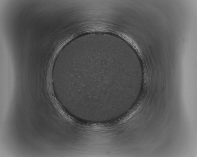 X0000116120481200911231218