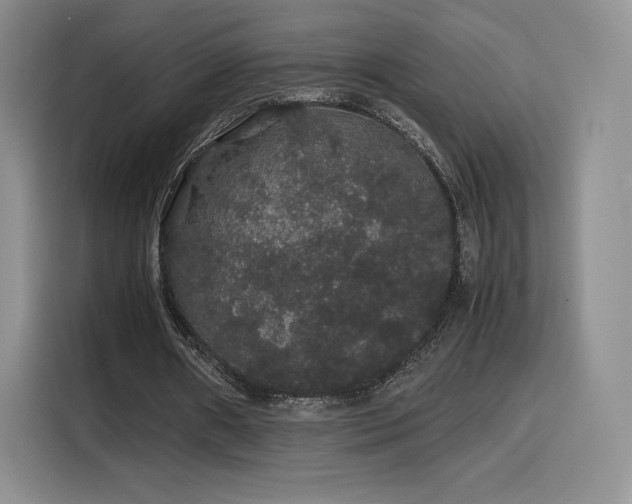 X0000116120482200911231218