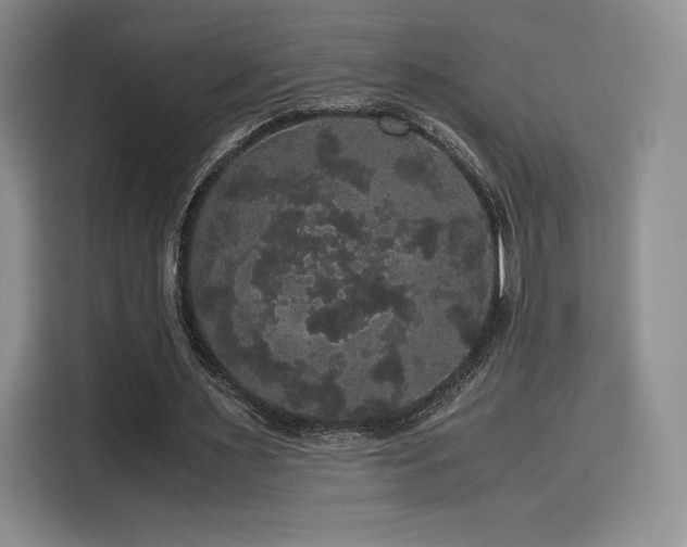 X0000116120483200911231218