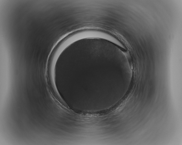 X0000116120484200911231218