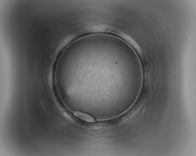 X0000116120485200911231218